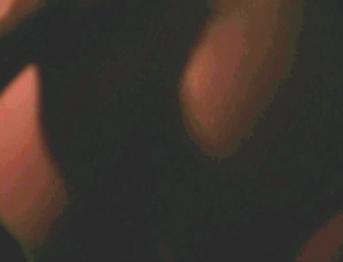 BBC уничтожает польскую лагу