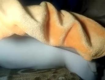 Маленькую девственную киску сестры друзей наполнили моей спермой на снэпе