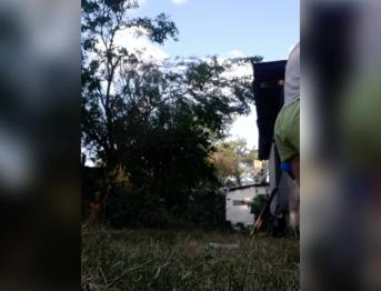 На улице писает в отчаянии Рыжая писает в штаны, занята одеялом и кошками